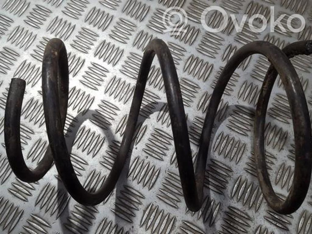 Rear coil spring