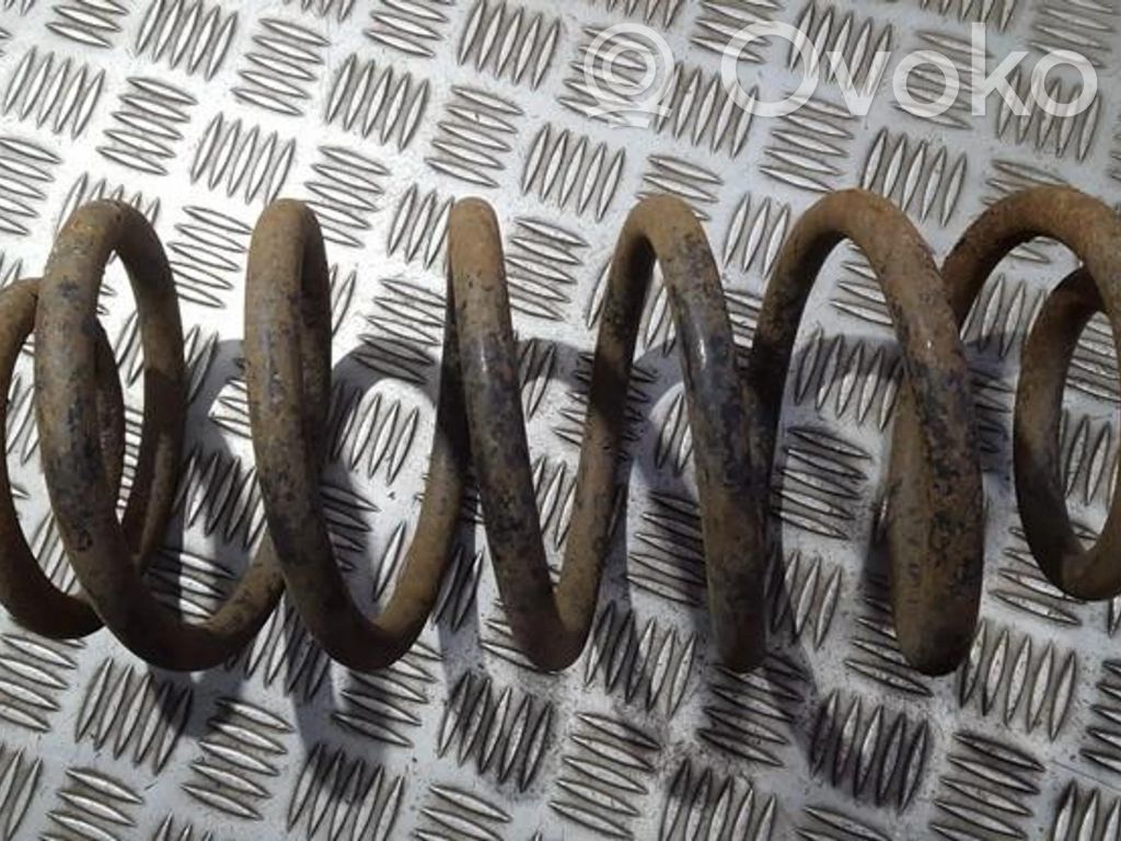 Rear coil spring
