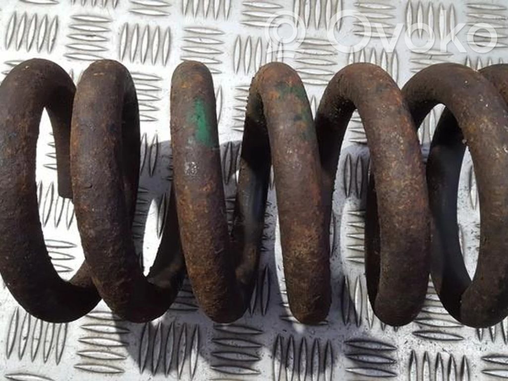 Front coil spring