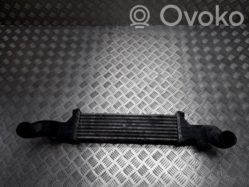 Radiatore intercooler   A2025001100,A2025001100