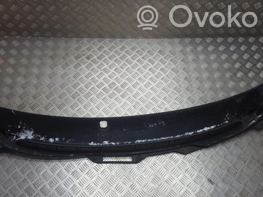 Moldura del limpia   9190000,9190000