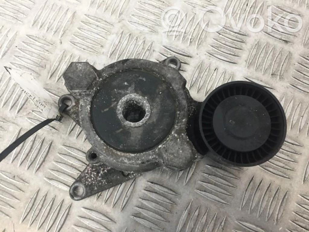 Toyota Avensis T250 Întinzător curea generator/alternator 