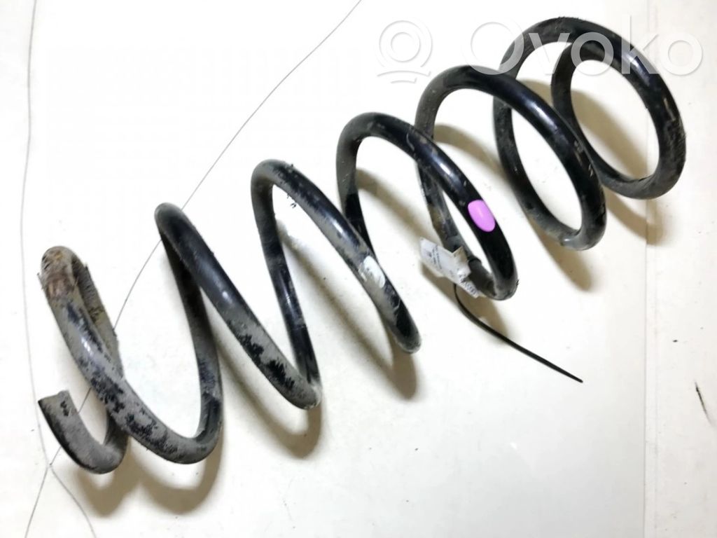 Front coil spring