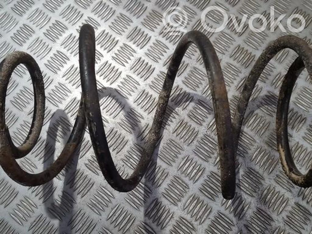 Front coil spring