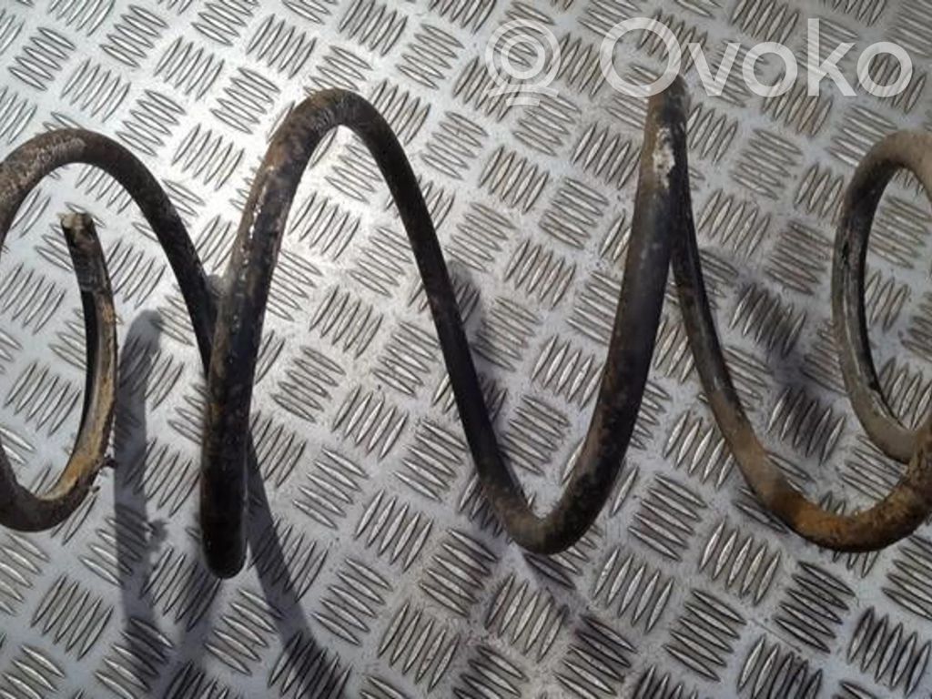 Front coil spring