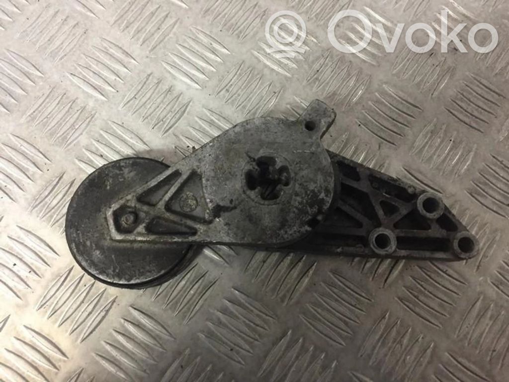 Volkswagen PASSAT B5.5 Tendicinghia generatore/alternatore 