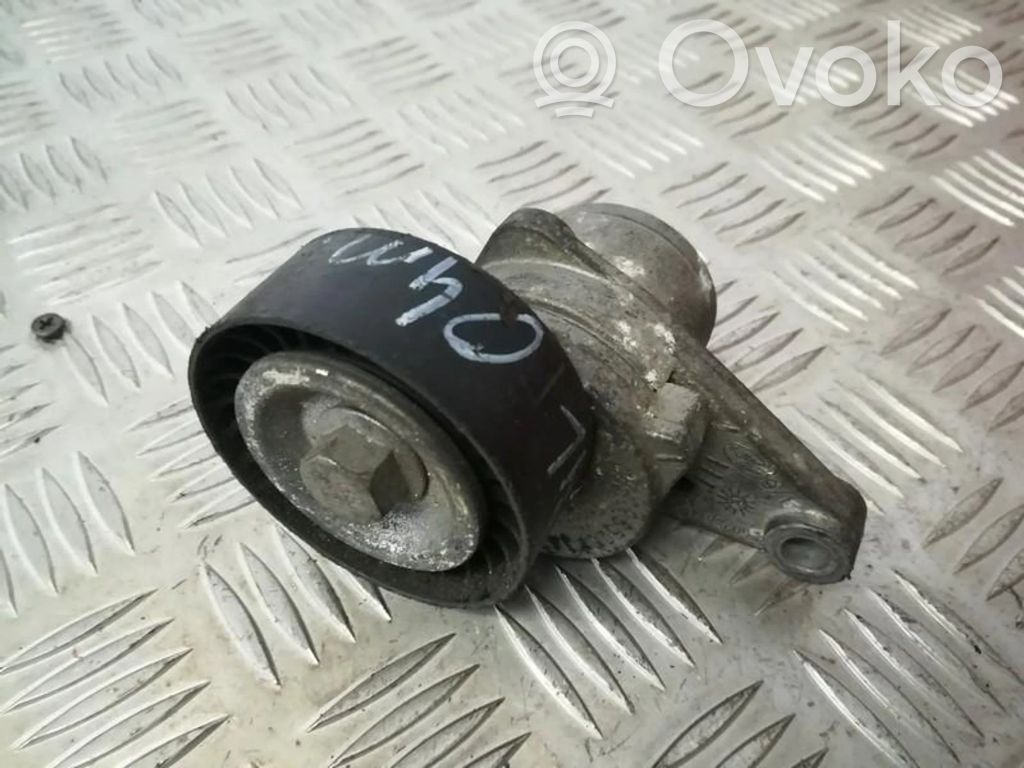 Citroen C3 Diržo įtempėjas 