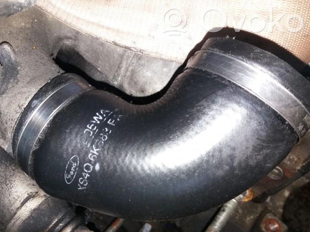 Ford Focus Interkūlera šļūtene (-es) / caurule (-es) 