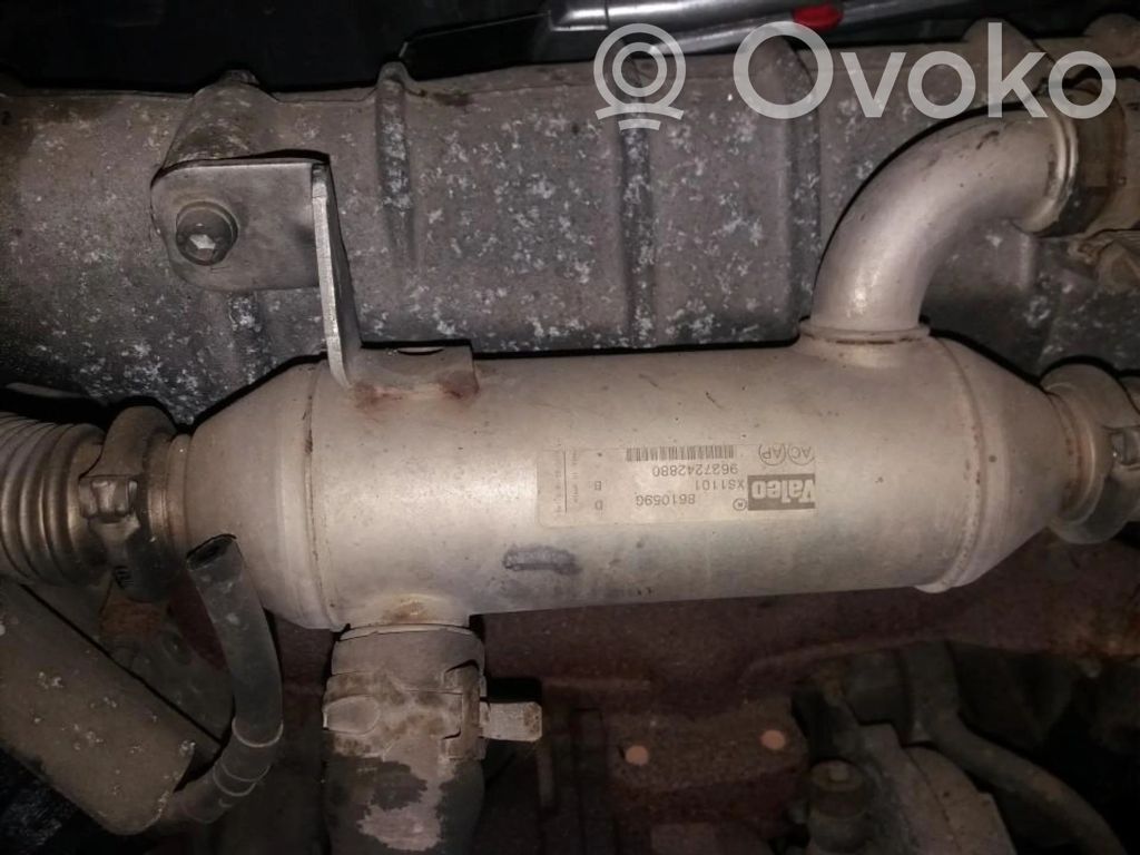 Citroen Xsara Picasso Valvola di raffreddamento EGR 