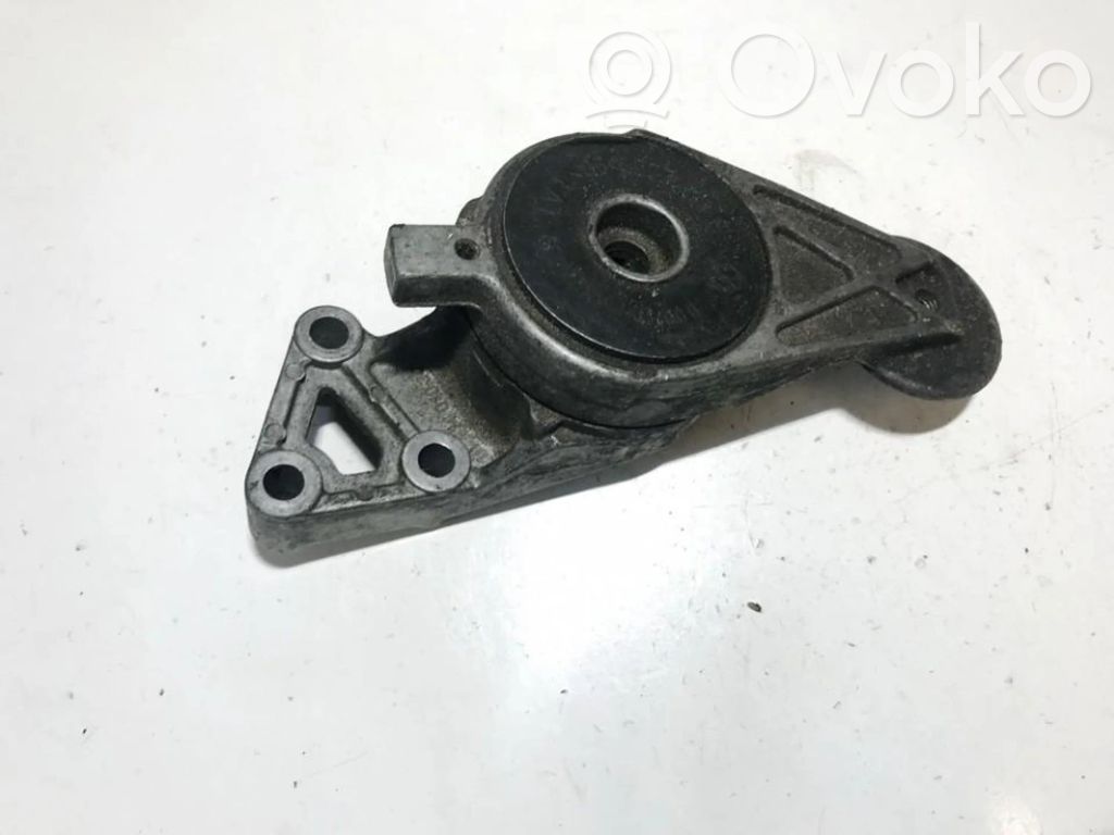 Audi A3 S3 8L Tendicinghia generatore/alternatore 