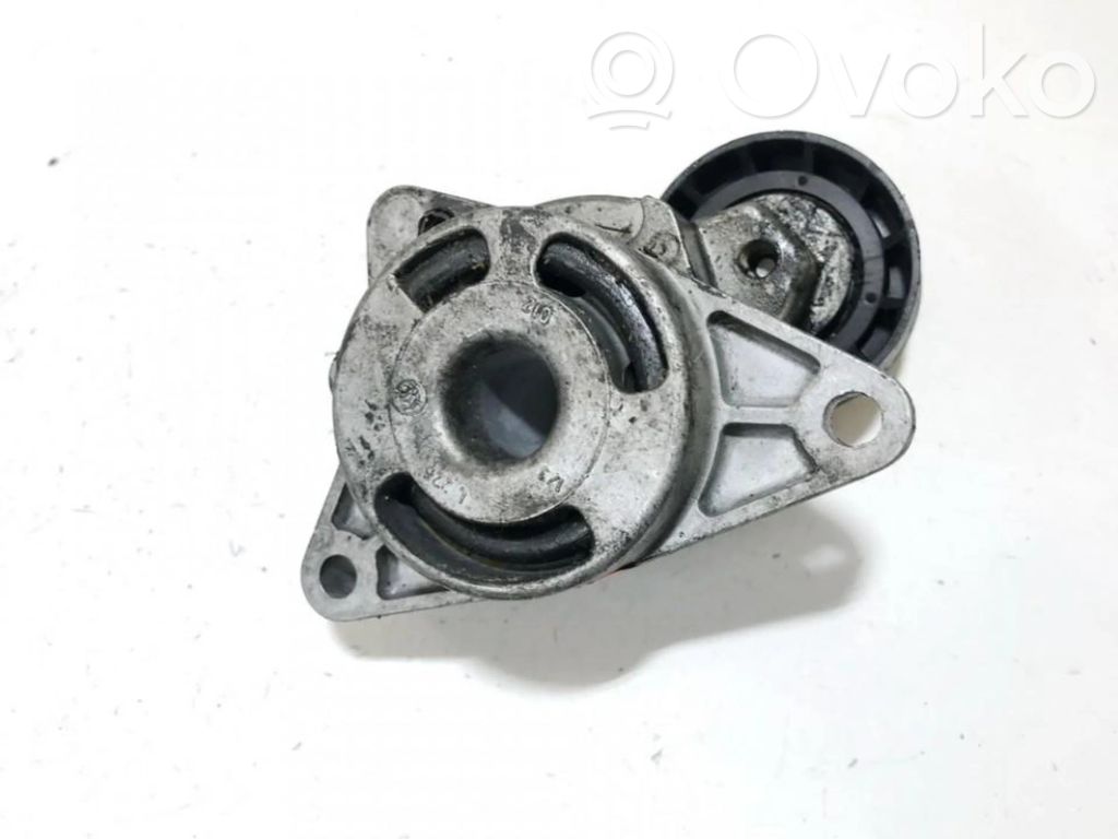 Renault Laguna II Tendicinghia generatore/alternatore
