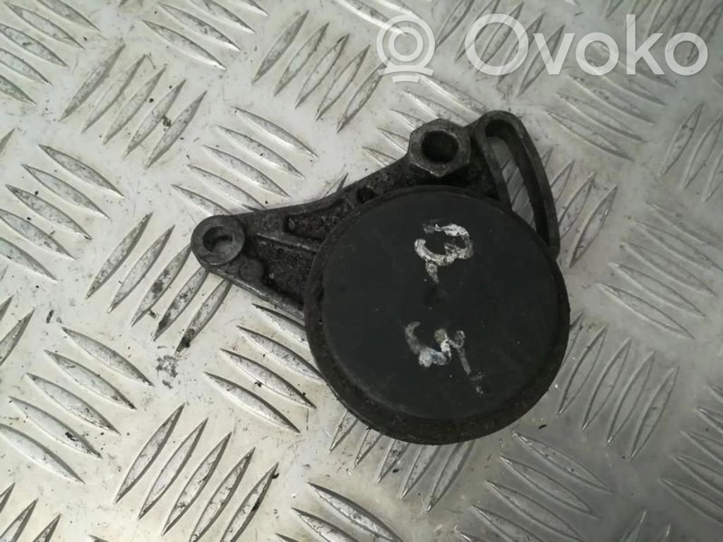 Volkswagen PASSAT B5 Întinzător curea generator/alternator 