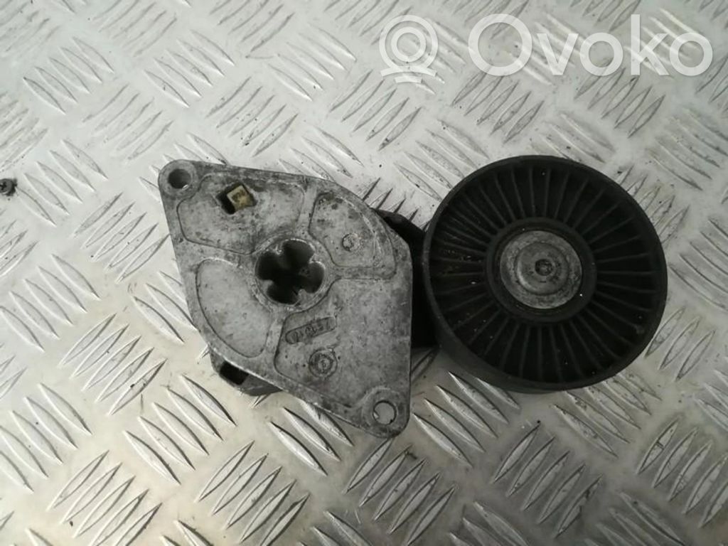 Diržo įtempėjas   PQG100141,PQG100141