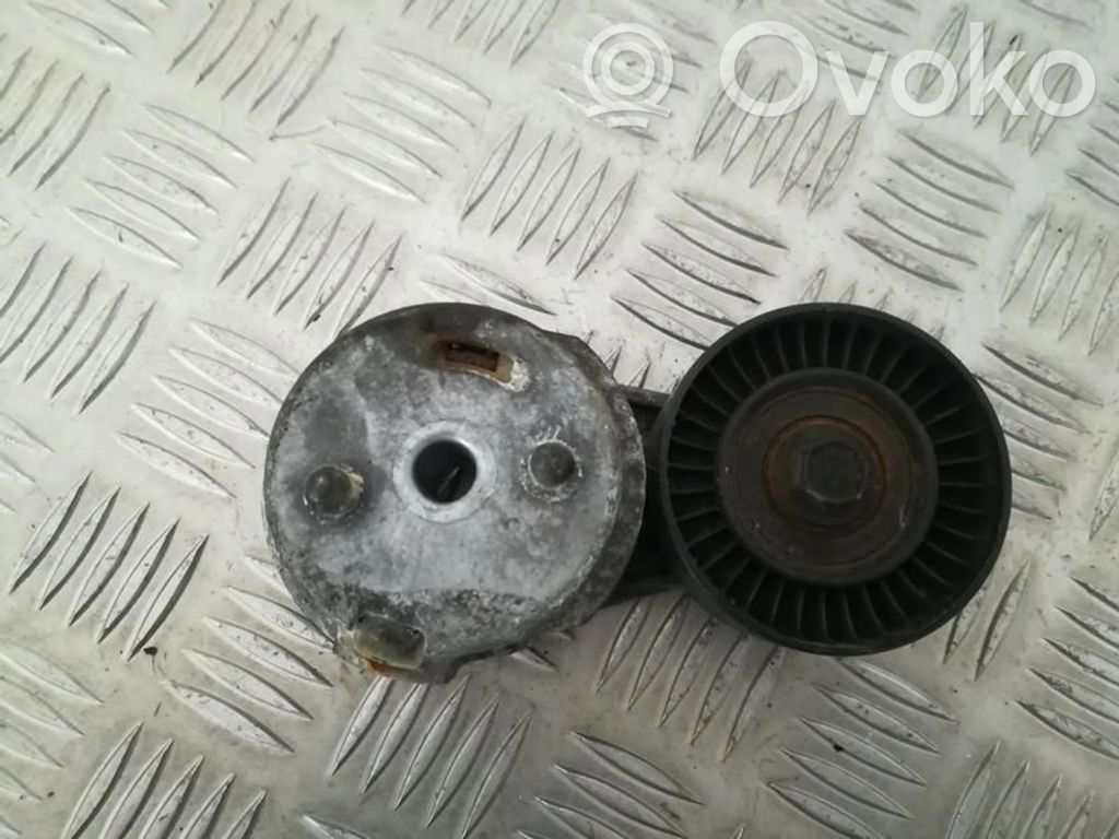 Chrysler Voyager Tensor de correa del alternador 