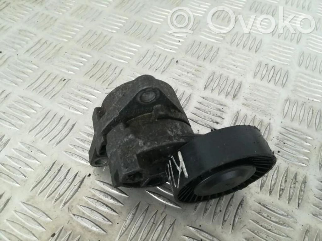 KIA Carnival Tensor de correa del alternador 