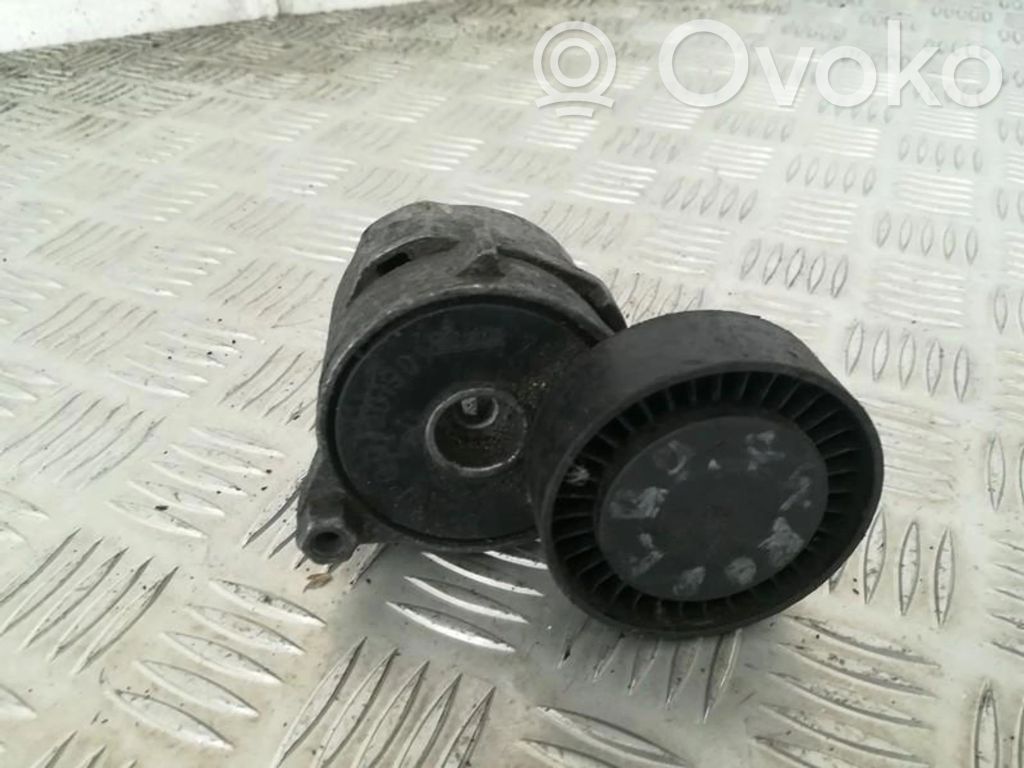Land Rover Freelander Întinzător curea generator/alternator 