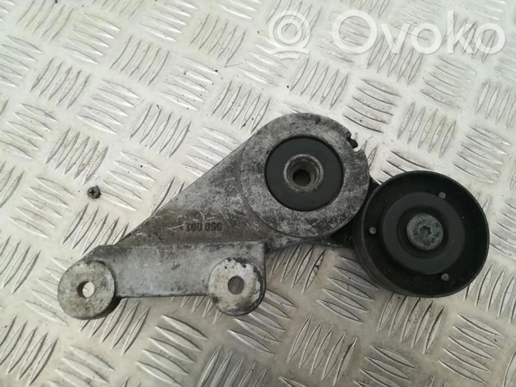 Volvo 850 Întinzător curea generator/alternator 