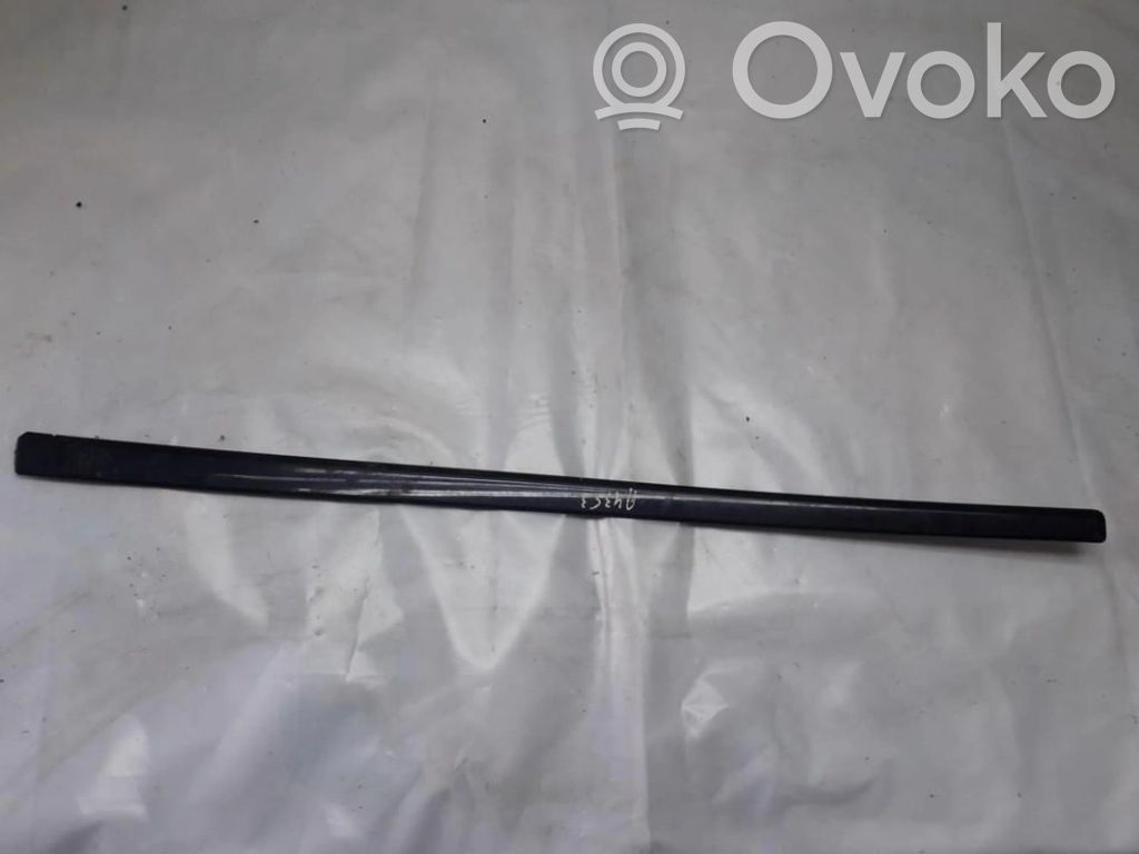 Audi A4 S4 B6 8E 8H Rivestimento della portiera anteriore (modanatura)