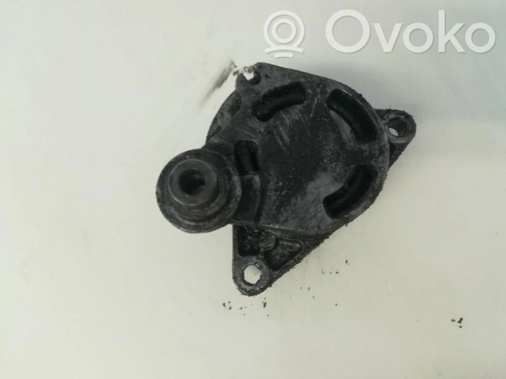 Renault Trafic II (X83) Napinacz paska alternatora