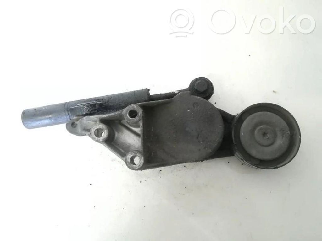 Audi A3 S3 8L Tendicinghia generatore/alternatore
