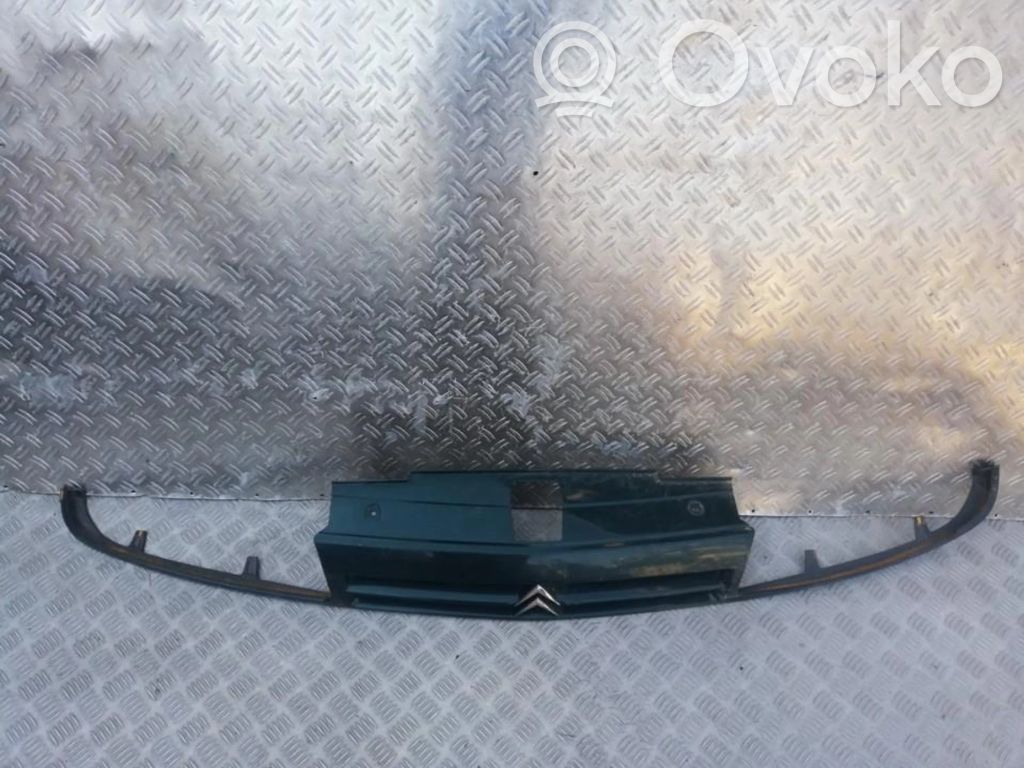 Kühlergrill   9618919977,9618919977