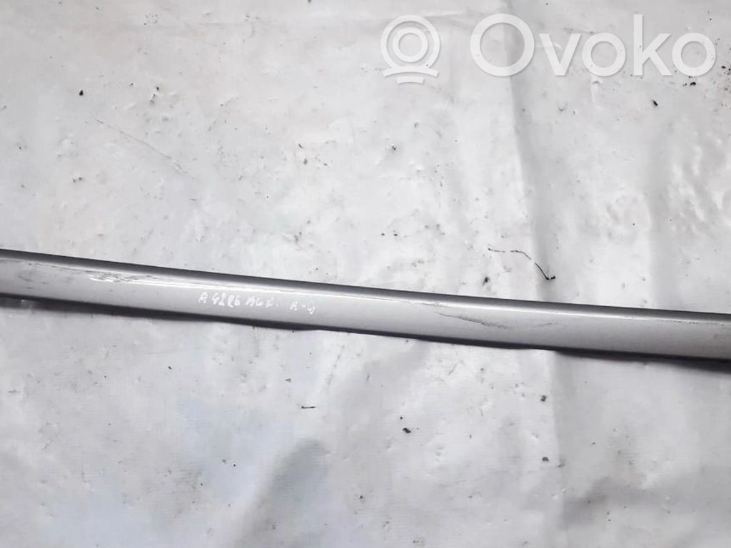 Audi A4 S4 B6 8E 8H Mască ușă spate (turnată) 