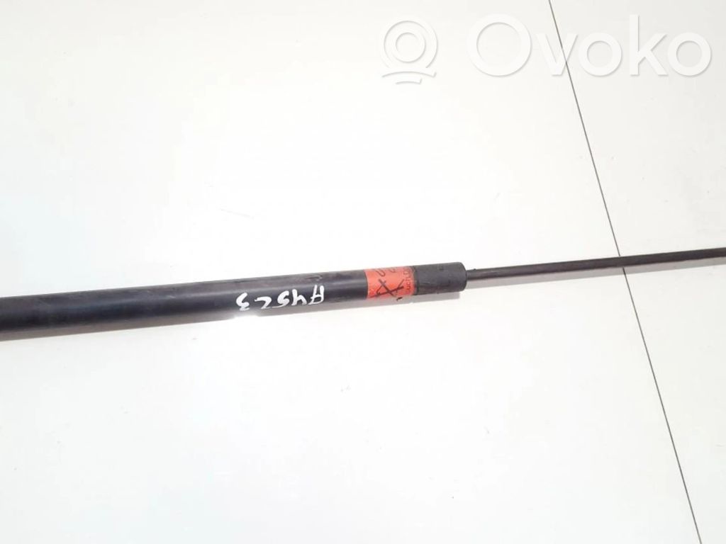 Renault Scenic I Ammortizzatore portellone posteriore/bagagliaio