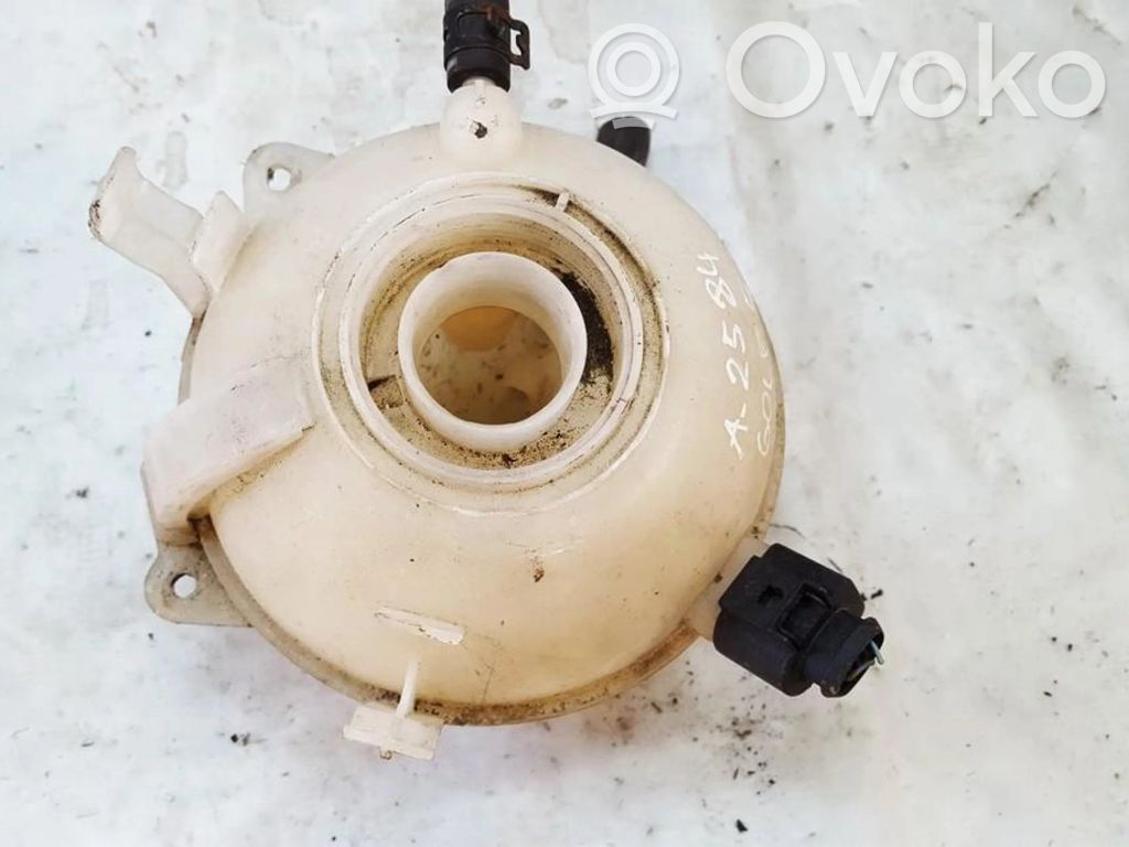 Volkswagen Golf V Vas expansiune/rezervor lichid de răcire