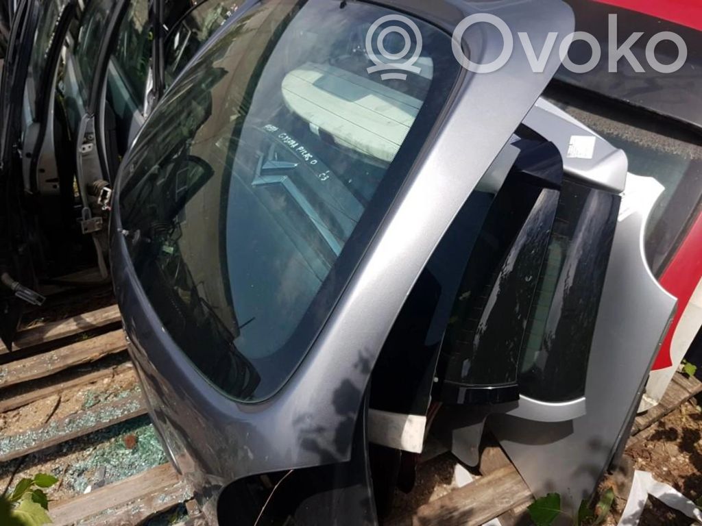 Citroen Xsara Picasso Vano motore/cofano