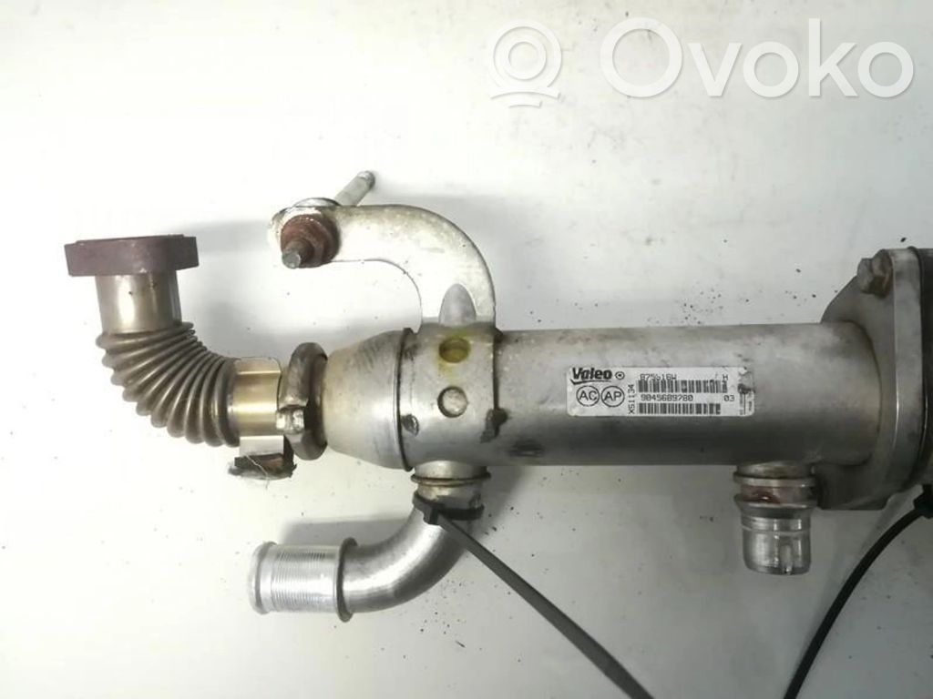 Volvo V50 Refrigerador de la válvula EGR