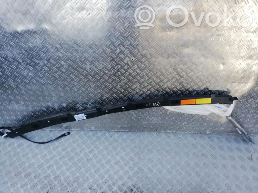 Airbag del techo   963454278002,0004982G,0004982G,963454278002