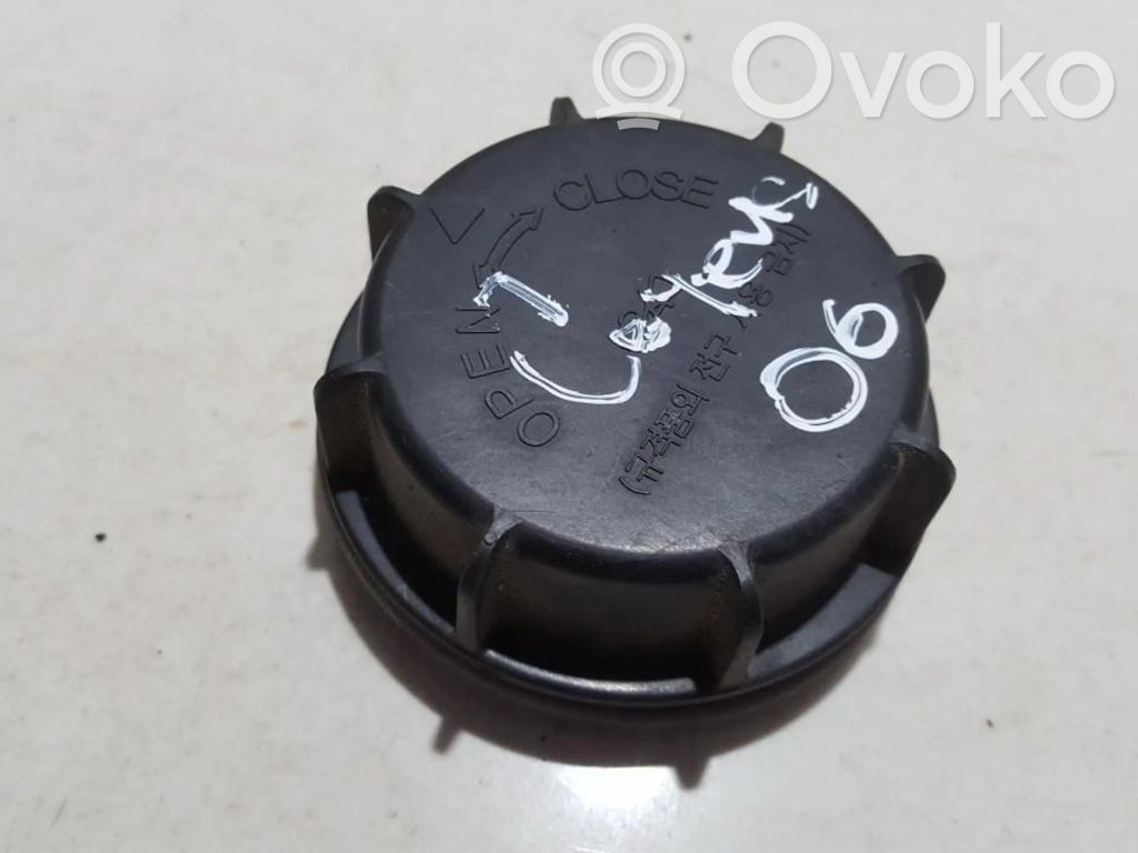 Cache-poussière de phare avant