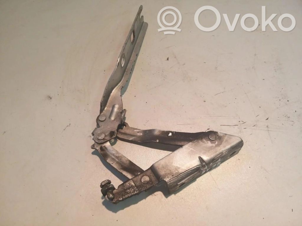 Volkswagen Golf V Balamale capotă