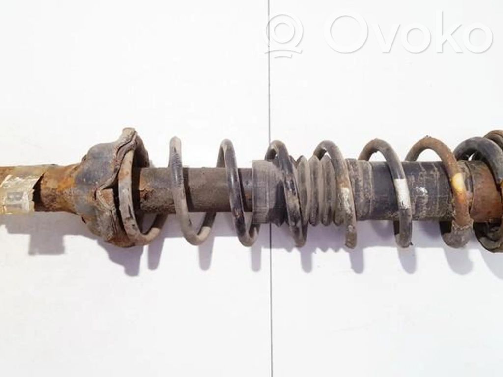 Muelle espiral trasero