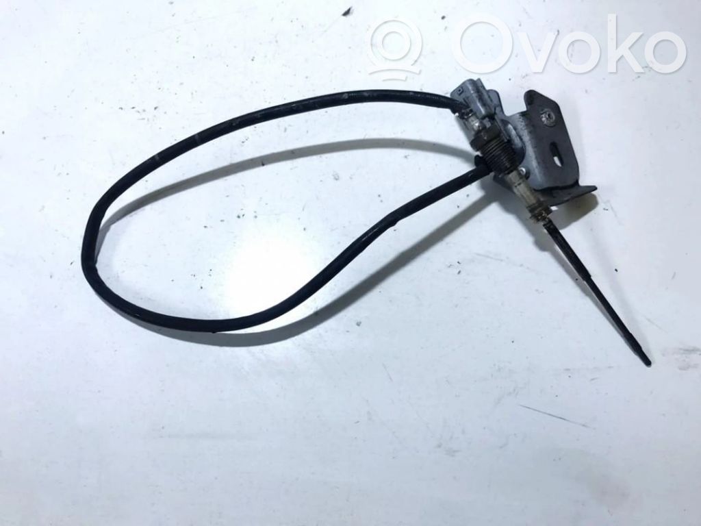 Abgastemperatursensor   226401632R,226401632R