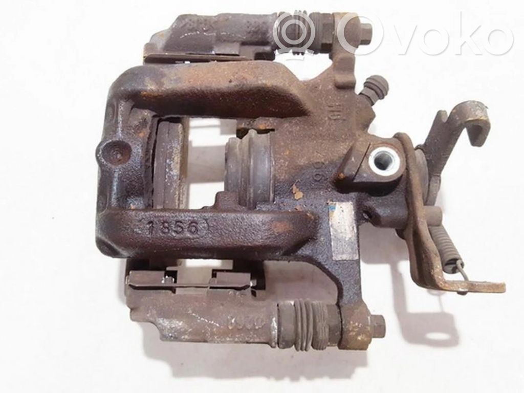 Takajarrusatula   42359085,42359085