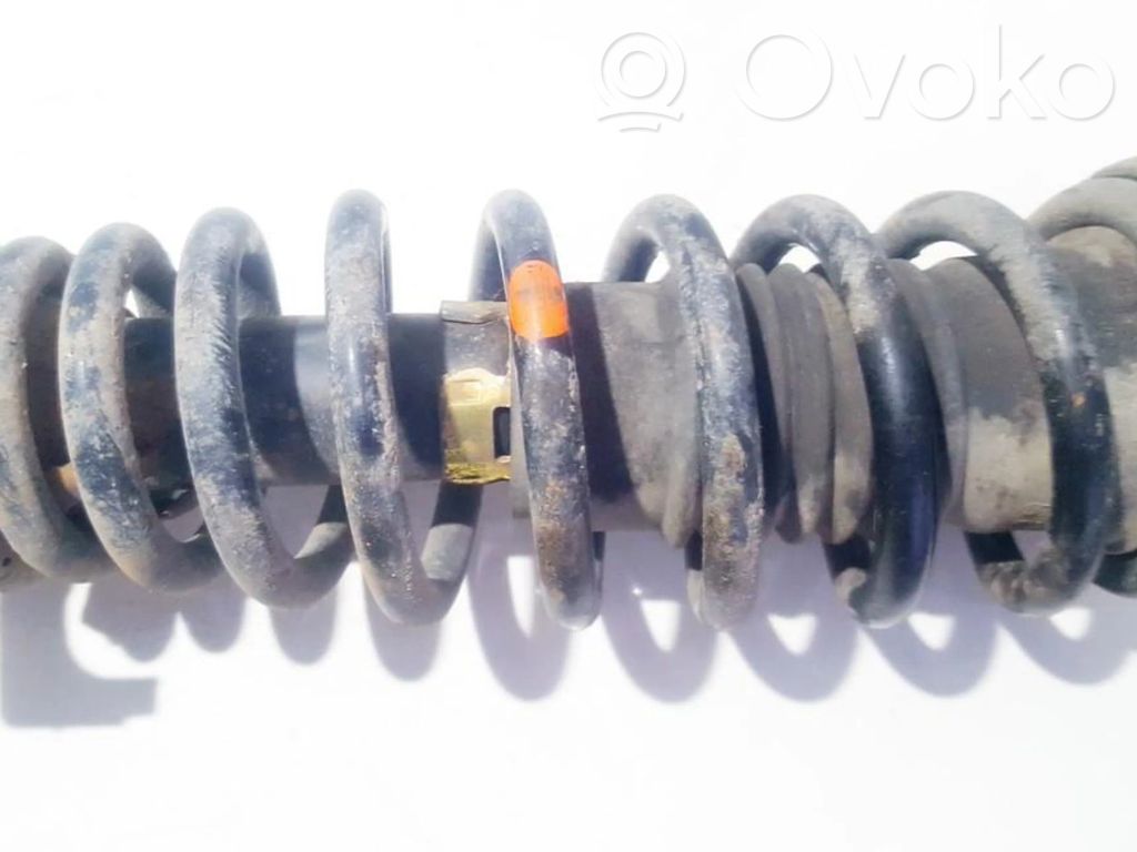 Front coil spring