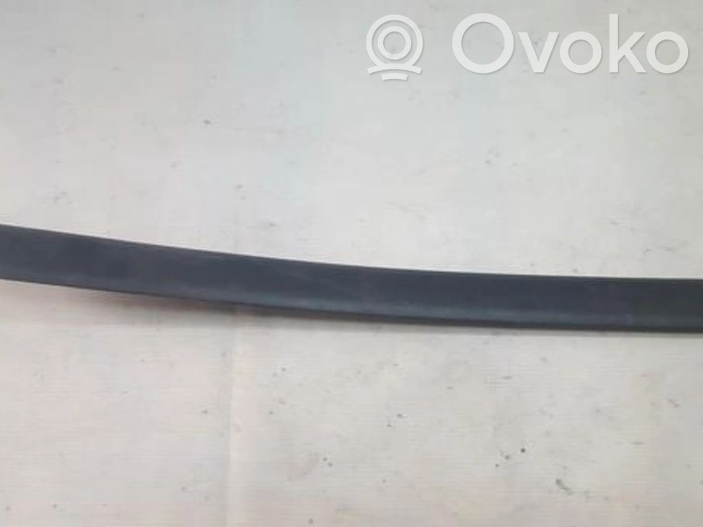 Ford Fiesta Mască ușă față (turnată) 