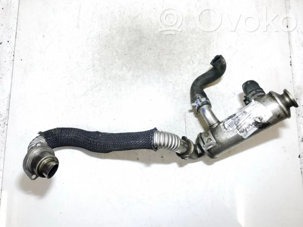 Volvo V50 Valvola di raffreddamento EGR