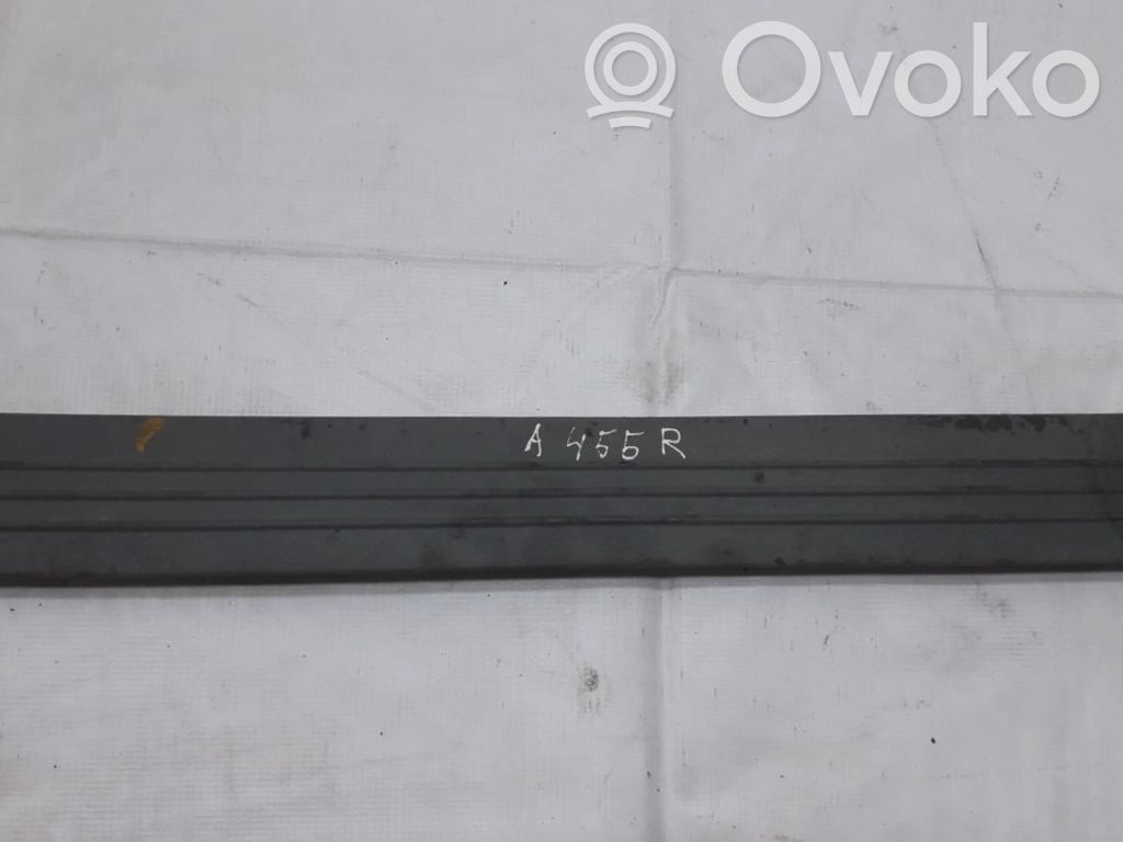 Dodge Grand Caravan Front sill trim cover 
