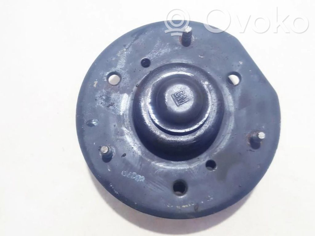 Coil spring mount