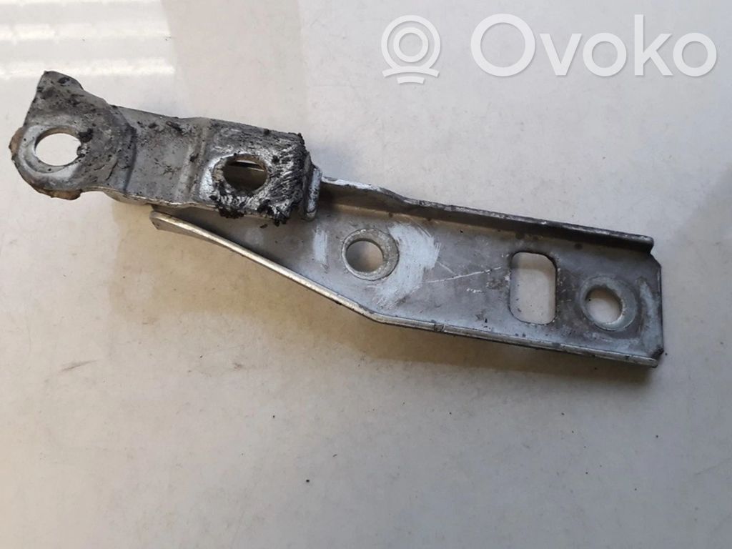 Volkswagen Bora Balamale capotă 