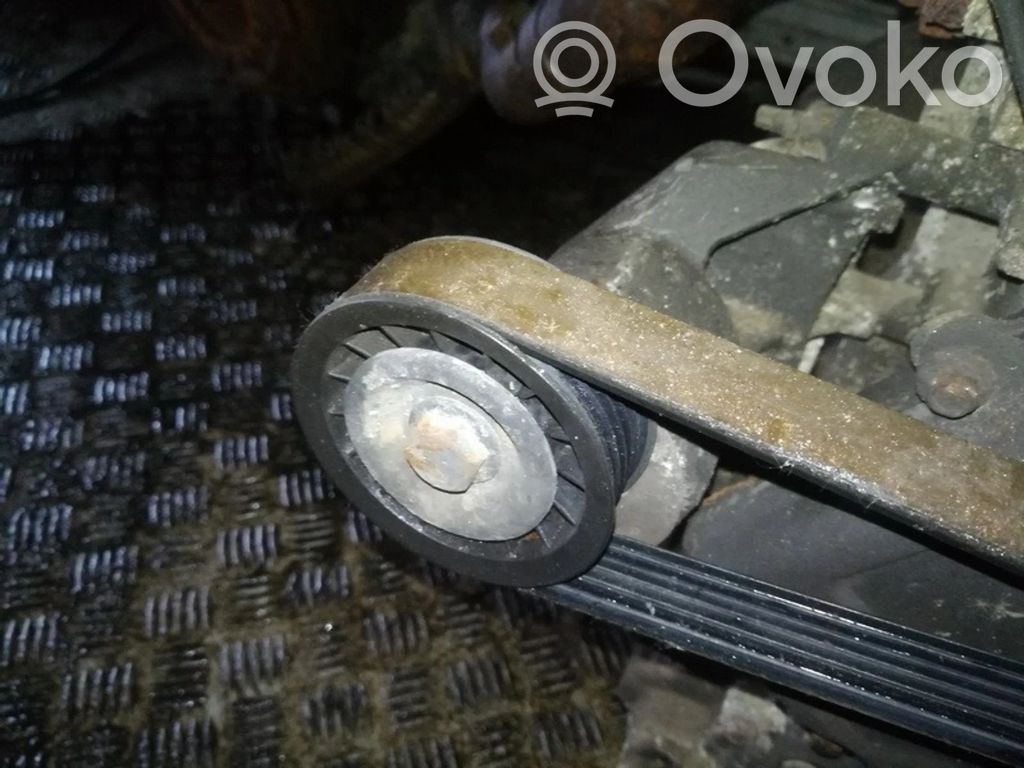 Ford Focus Diržo įtempėjas 