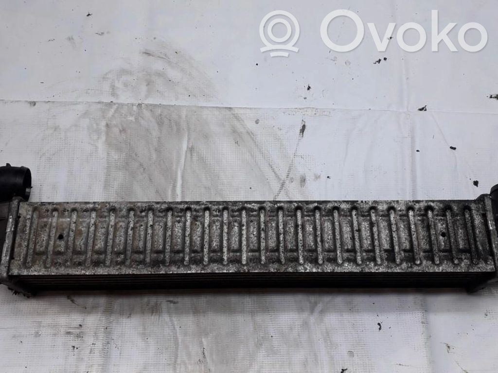 Seat Alhambra (Mk1) Radiator intercooler 