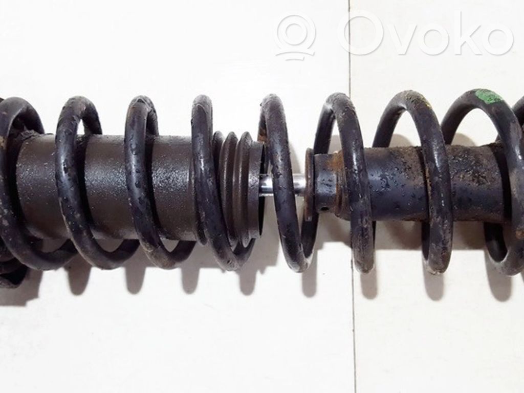 Muelle espiral trasero