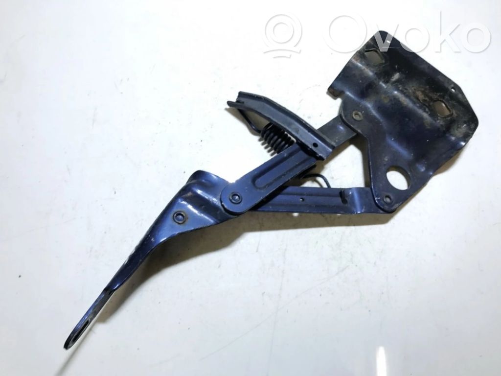 Pontiac Trans Sport Balamale capotă 