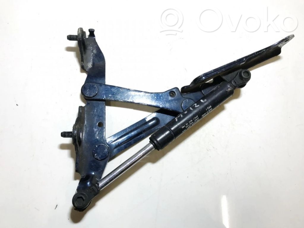 Tailgate/trunk/boot hinge