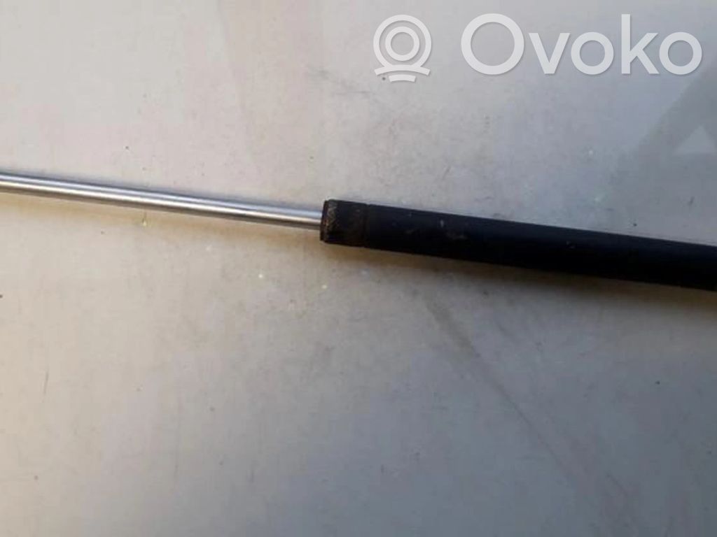 Tailgate/trunk strut/damper