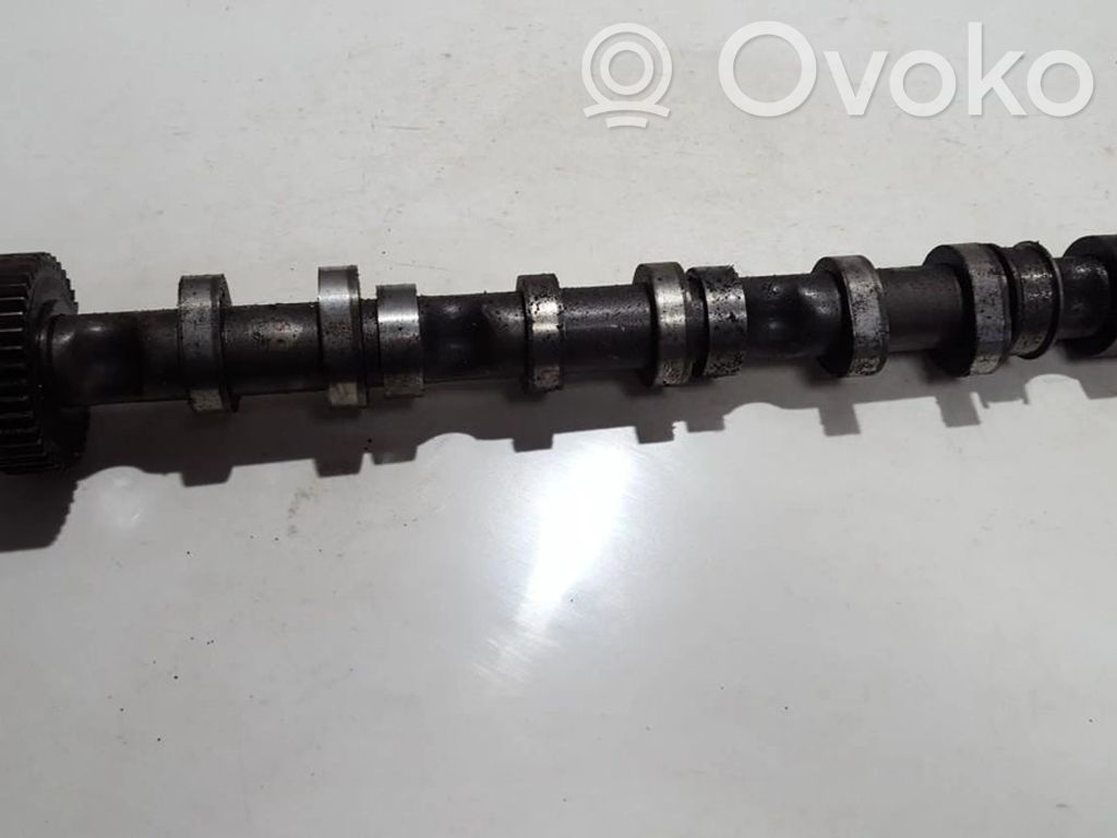 Nockenwelle   059102CC,53623001,030094515,059102CC,53623001