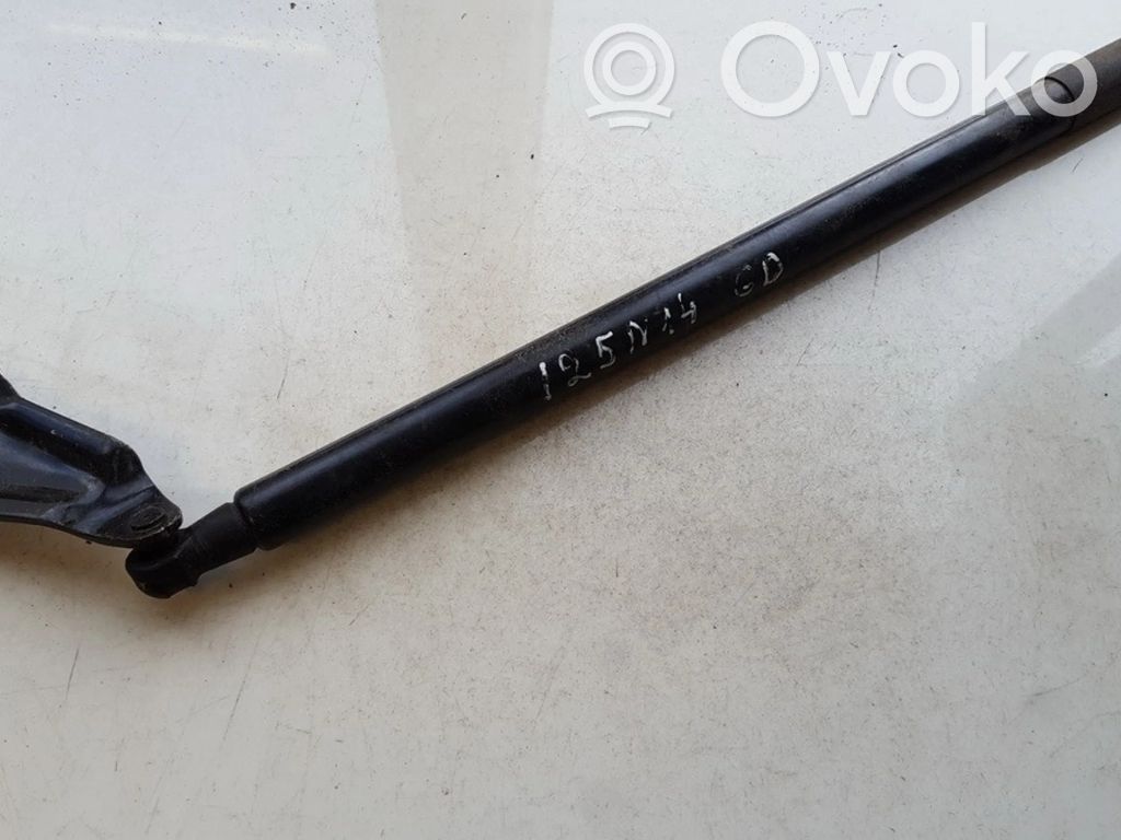 Nissan Juke I F15 Ammortizzatore portellone posteriore/bagagliaio